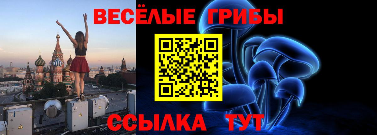 Галлюциногенные грибы мухоморы  Вход с VPN  Жуковский  Псилоцибиновые грибы мухоморы 
