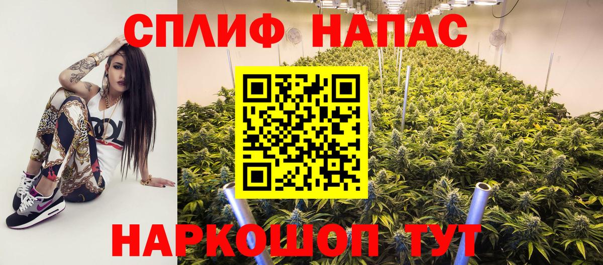 Бошки Шишки White Widow  Вход с VPN  Марихуана White Widow  Конопля AK-47  Бошки Шишки марихуана  Жуковский 